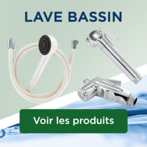 LAVE BASSIN