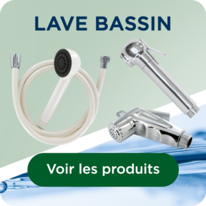 LAVE BASSIN